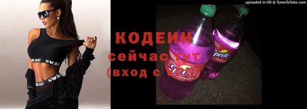 ешки Бородино