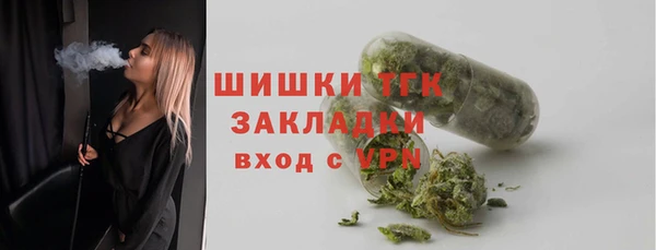 ешки Бородино