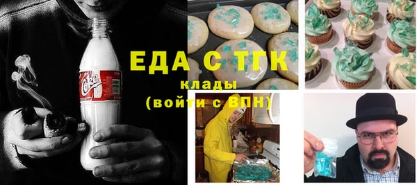 амф Верхний Тагил
