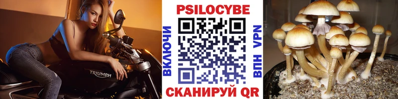 Купить  Краснокаменск  Галлюциногенные грибы ЛСД 